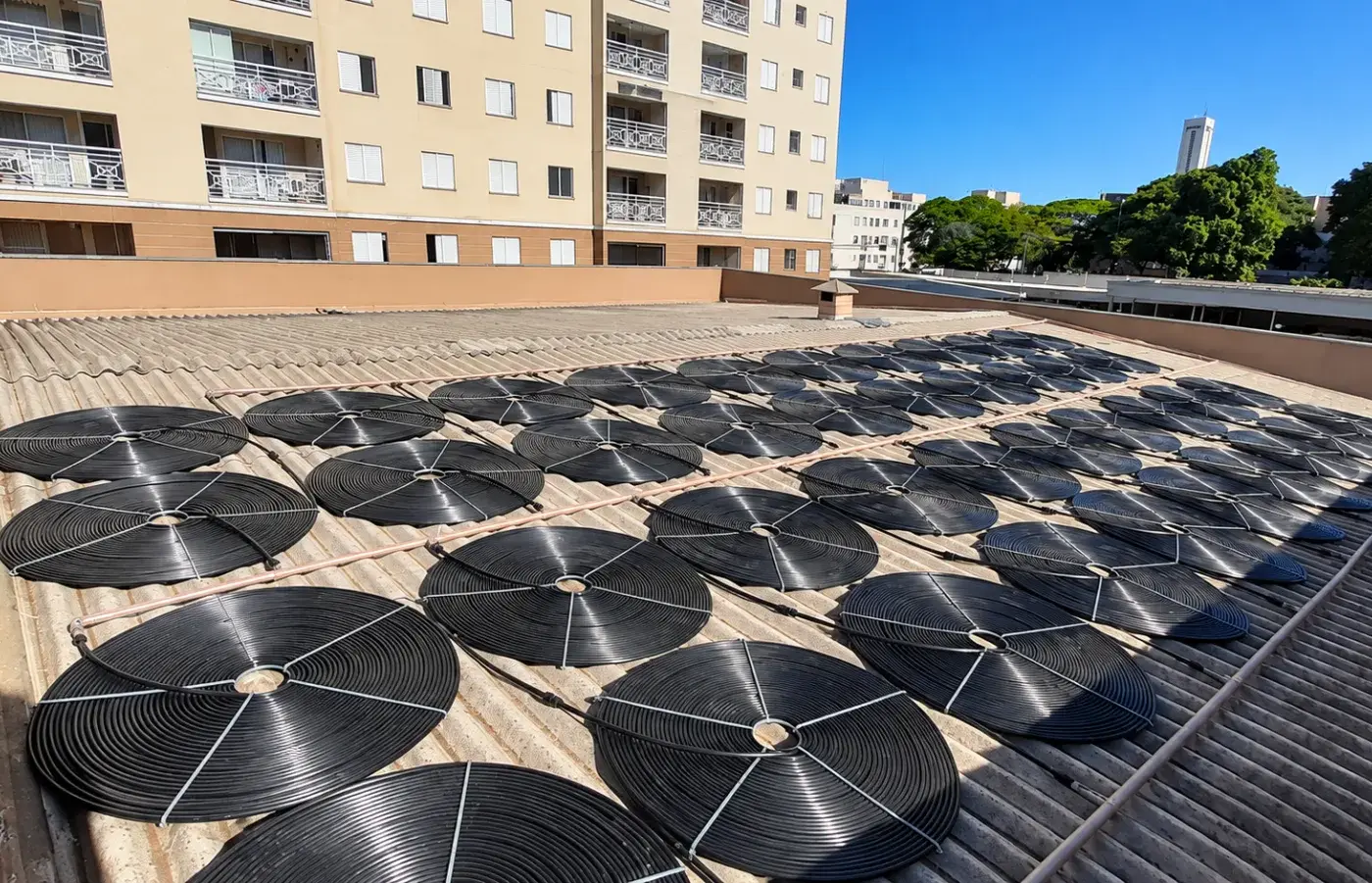 Fileiras de coletores solares circulares pretos sobre telhado de fibrocimento